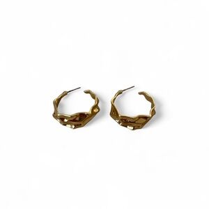 Elegant Gold Hoop Earrings